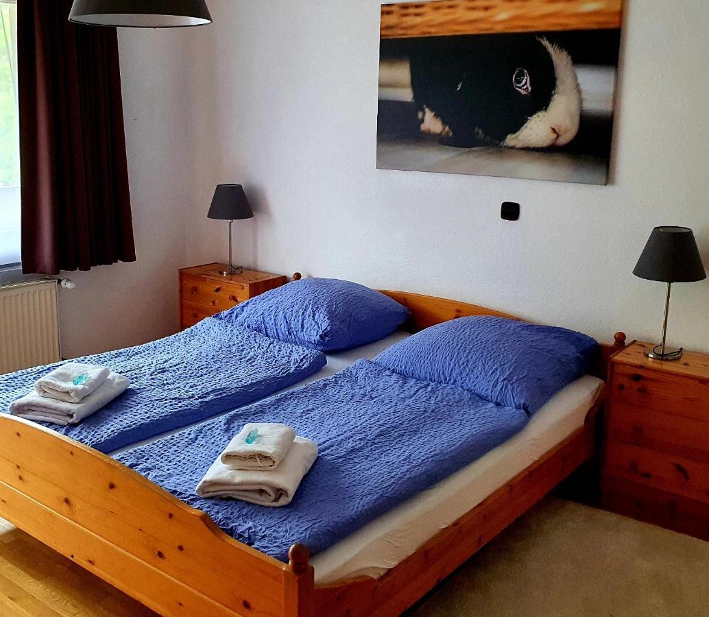 Gruener Baum Hotel Neckargerach Luaran gambar